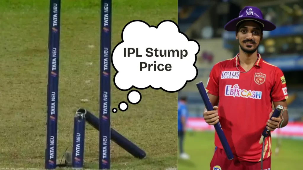 IPL Stump Price